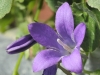 Edeltraud_Bild 3