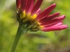 Edeltraud_Bild 6