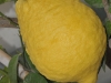 Edeltraud_Bild 8