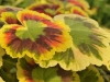 Edeltraud_Bild 11