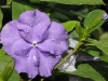 Edeltraud_Bild 12