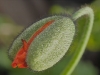 Edeltraud_Bild 15