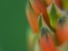 detail4