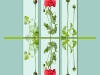 Mohnblume Collage – sieghard ö.