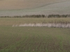 Linien horizontal