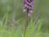 Toskana