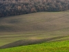 erstes Grün, Helmuth Pliger