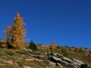 Christine S. - Herbststimmung Ulten