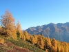 Christine S. - Herbststimmung Ulten