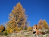 Christine S. - Herbststimmung Ulten