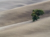 Val D'Orcia - Toskana 1