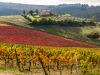 Val D'Orcia - Toskana 13