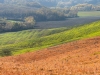 Val D'Orcia - Toskana 7