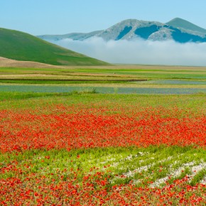 Castelluccio