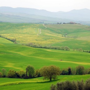 Toskana im Frühling