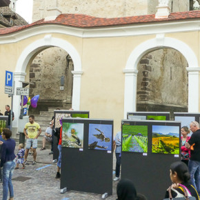 Fotokunst im Quadrat