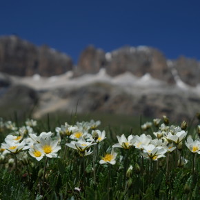 Fahrt in die Dolomitenpässe