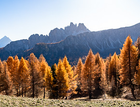 Herbstliche Bergwelt