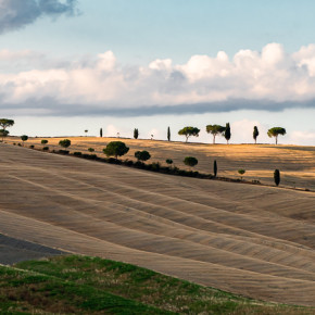 Die hügelige Landschaft - Val d'Orcia