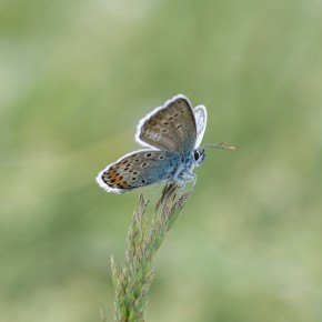 Ausflug zur Malga Vignola