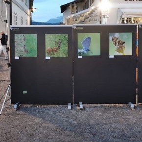 Fotoausstellung unter freiem Himmel