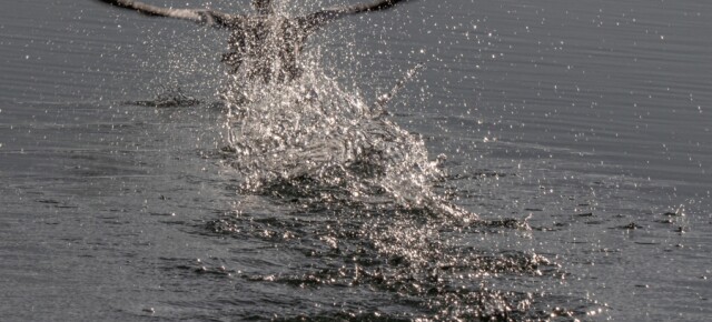 Interner Fotowettbewerb - Wasser